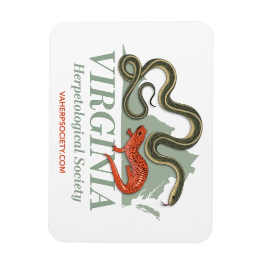 VHS Logo Magnet Magneet (Verticaal)