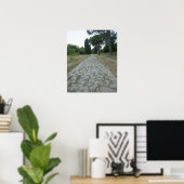 Via Appia Appian way, roman roadway Poster (Thuiskantoor)