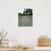 Via Appia Appian way, roman roadway Poster (Keuken)