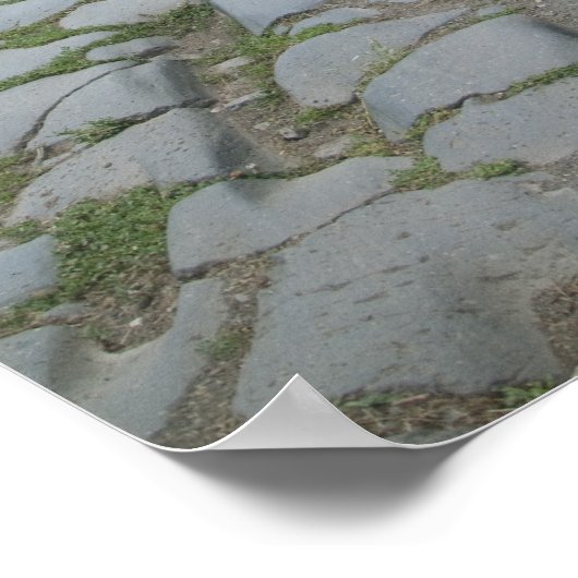 Via Appia Appian way, roman roadway Poster (Hoek)