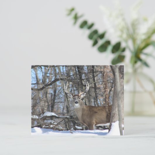 VIA DEEP SNEEUW BRIEFKAART (Staand voorkant)