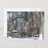 VIA DEEP SNEEUW BRIEFKAART (Voorkant / Achterkant)