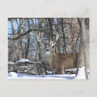 VIA DEEP SNEEUW BRIEFKAART