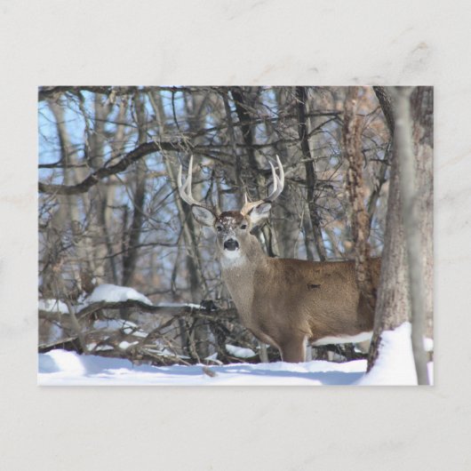 VIA DEEP SNEEUW BRIEFKAART (Voorkant)