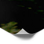 Via Floral Poster (Hoek)