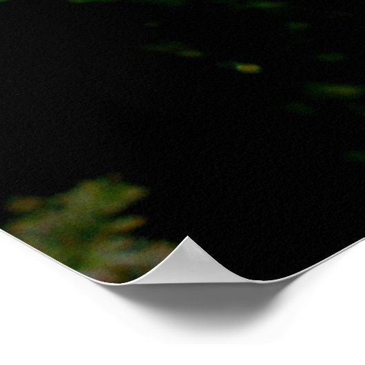 Via Floral Poster (Hoek)