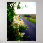 Via Floral Poster (Voorkant)