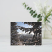 via naaldbomen briefkaart (Staand voorkant)