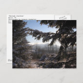 via naaldbomen briefkaart (Voorkant / Achterkant)