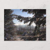 via naaldbomen briefkaart (Voorkant)