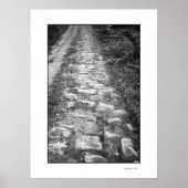 VIA ROMANA POSTER (Voorkant)