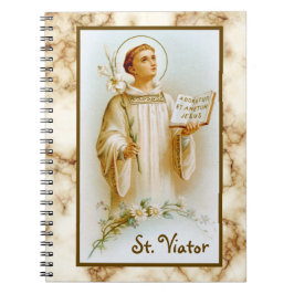 Viator van Lyon de Catechist (BF 02) Notitieboek