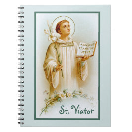 Viator van Lyon de Catechist (BF 02) Notitieboek