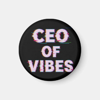 VIBE CEO PROTOCOL - Reality Glitch (Instant Aura U Magneet