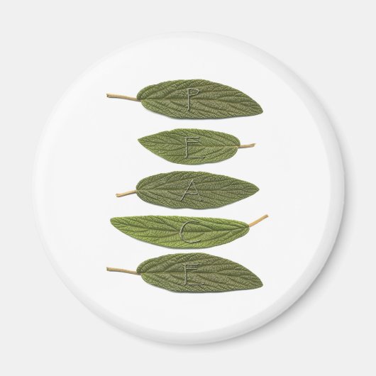 VIBIRNUM verlaat PEACE Magneet (Voorkant)