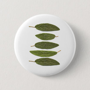 VIBIRNUM verlaat PEACE Ronde Button 5,7 Cm