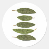 VIBIRNUM verlaat PEACE Ronde Sticker (Voorkant)