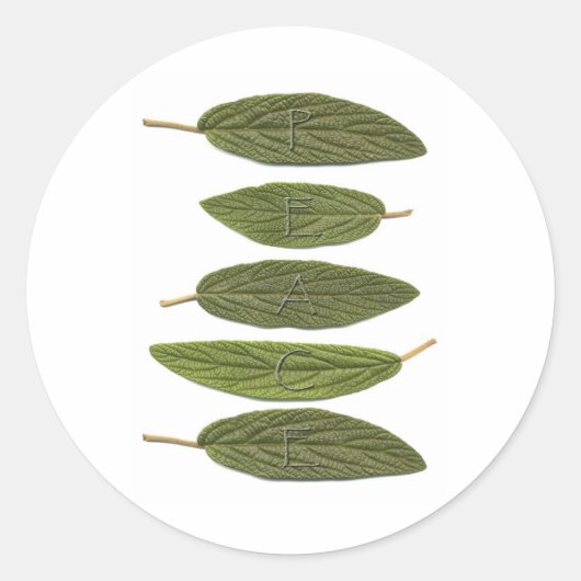 VIBIRNUM verlaat PEACE Ronde Sticker (Voorkant)