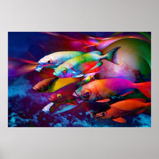 VIBRANCE POSTER (Voorkant)