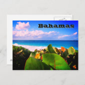 Vibrant aangepaste Tropische Bestemming Briefkaart (Voorkant / Achterkant)