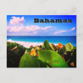 Vibrant aangepaste Tropische Bestemming Briefkaart (Voorkant)