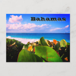 Vibrant aangepaste Tropische Bestemming Briefkaart