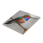 Vibrant Allen’s Hummingbird Painting Tegeltje (Zijkant)