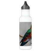 Vibrant Allen’s Hummingbird Painting Waterfles (Links)