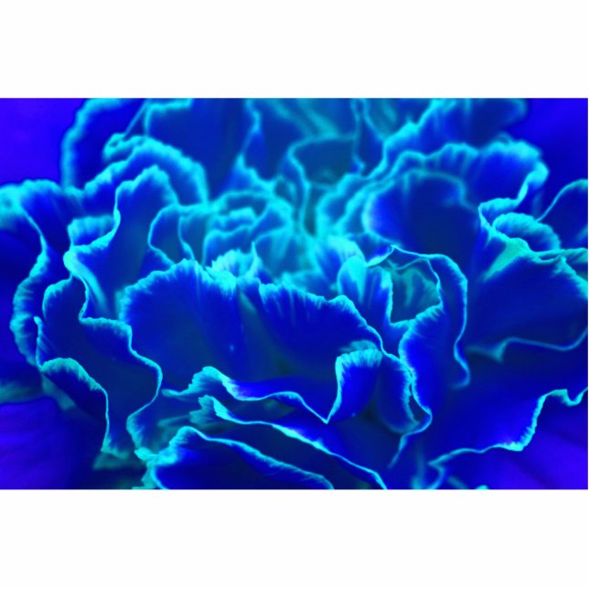 Vibrant blauw en Blauwgroen anjerventiel Fotobeeldje Magneet (Voorkant)