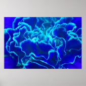 Vibrant blauw en Blauwgroen anjerventiel Poster (Voorkant)