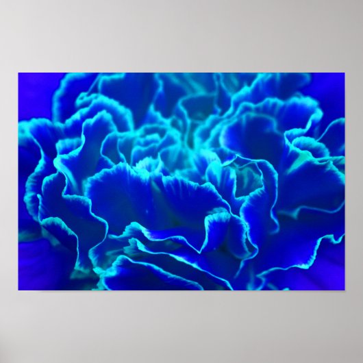 Vibrant blauw en Blauwgroen anjerventiel Poster (Voorkant)