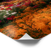 Vibrant Blossom Tree Garden Paradise View Perfect Poster (Hoek)