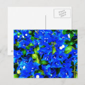 Vibrant Blue Bougainvillea Flowers Briefkaart (Voorkant / Achterkant)