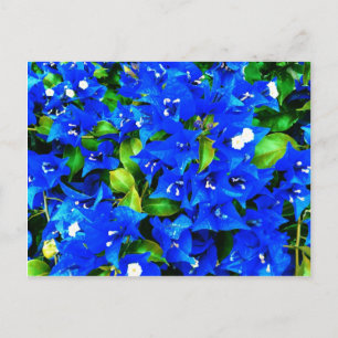 Vibrant Blue Bougainvillea Flowers Briefkaart