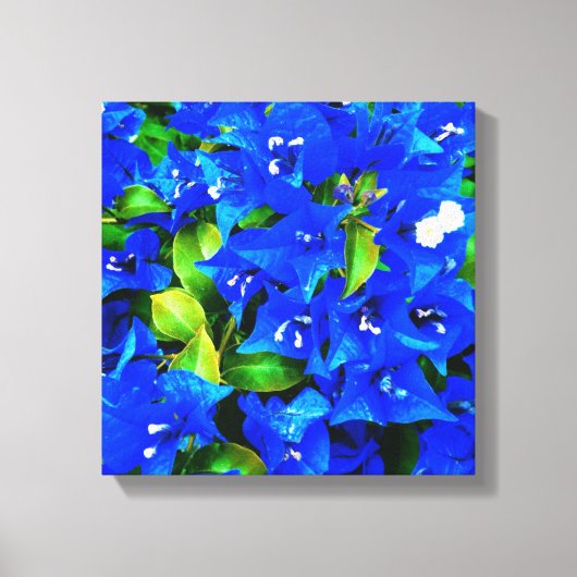 Vibrant Blue Bougainvillea Flowers Canvas Afdruk (Voorkant)