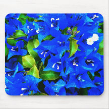 Vibrant Blue Bougainvillea Flowers