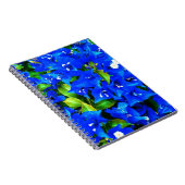 Vibrant Blue Bougainvillea Flowers Notitieboek (Rechterzijde)