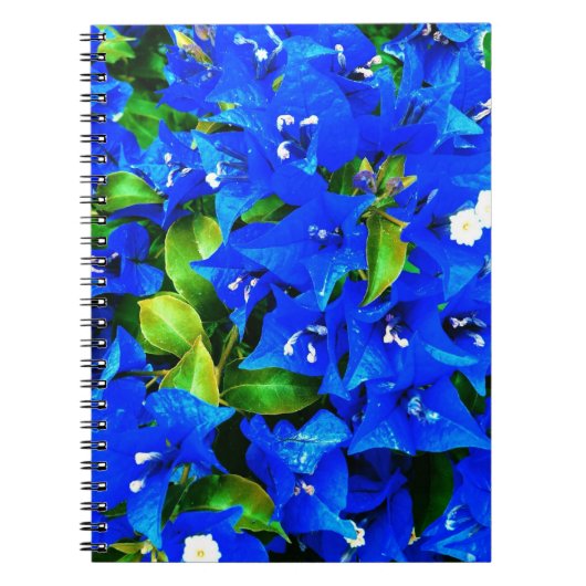 Vibrant Blue Bougainvillea Flowers Notitieboek (Voorkant)