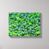 Vibrant blue flowers canvas afdruk (Voorkant)