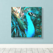 Vibrant Blue Peacococo in met gepante staart Canvas Afdruk (Insitu (Houten vloer))
