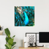Vibrant Blue Peacococo in met gepante staart Poster (Thuiskantoor)