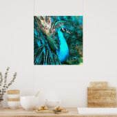 Vibrant Blue Peacococo in met gepante staart Poster (Keuken)