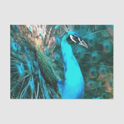 Vibrant Blue Peacococo in met gepante staart Tissuepapier (Voorkant)