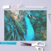 Vibrant Blue Peacococo in met gepante staart Tissuepapier (Craft)