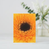 Vibrant Briefkaart (Staand voorkant)
