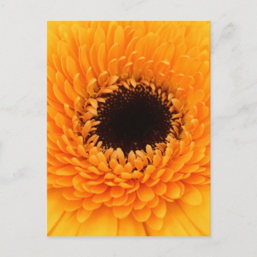 Vibrant Briefkaart (Voorkant)