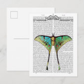 Vibrant Butterfly Briefkaart (Voorkant / Achterkant)