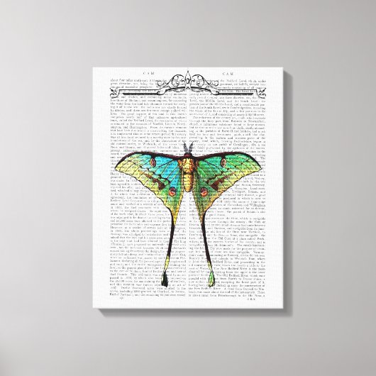 Vibrant Butterfly Canvas Afdruk (Voorkant)