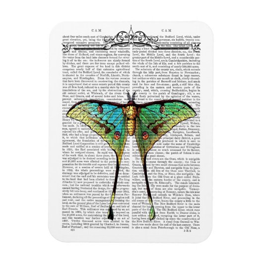 Vibrant Butterfly Magneet (Verticaal)