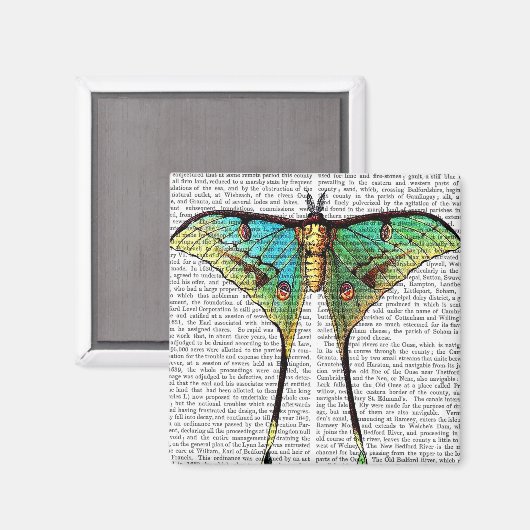 Vibrant Butterfly Magneet (Voorkant / Achterkant)